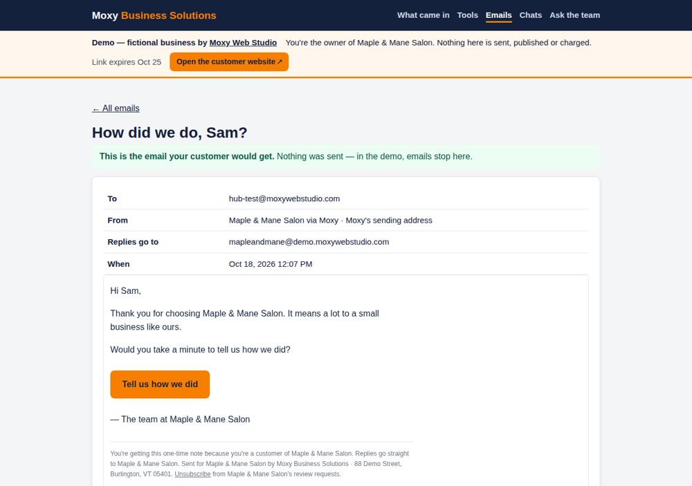 Screenshot: Every email, shown — never sent — Maple & Mane Salon