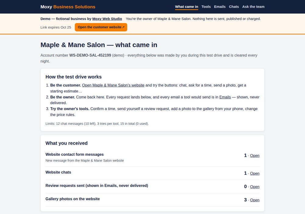 Screenshot: What the owner receives — Maple & Mane Salon
